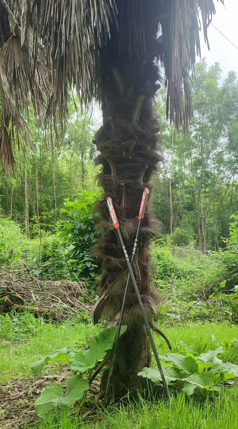 Sortie marche nordique en région toulousaine - Elan Sport Nature